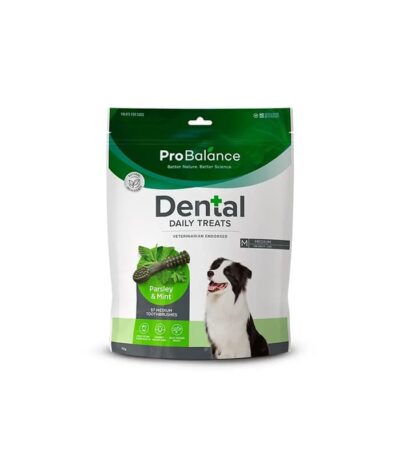 pet-product-dogs-treats-9-0.jpg Probalance Toothbrush Parsley & Mint