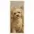 25x60 cm / 10x24″