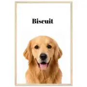 f49dbe39-fa23-4b5d-a0f7-b704bf03075e