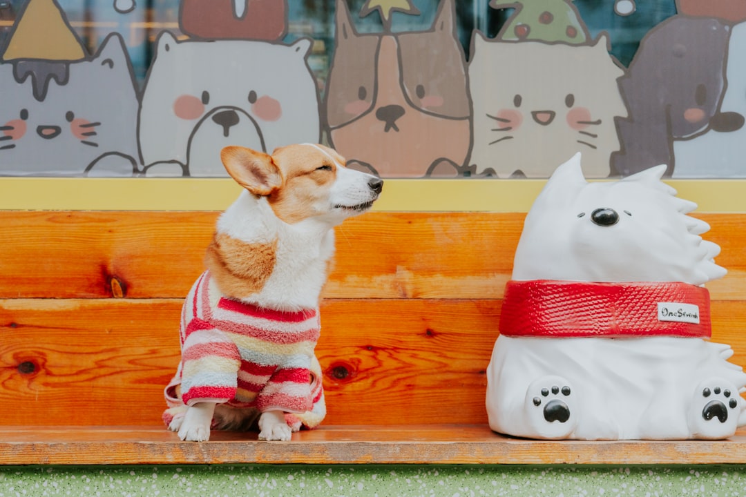 pet figurine - A corgi dog wearing a sweater sits beside a statue