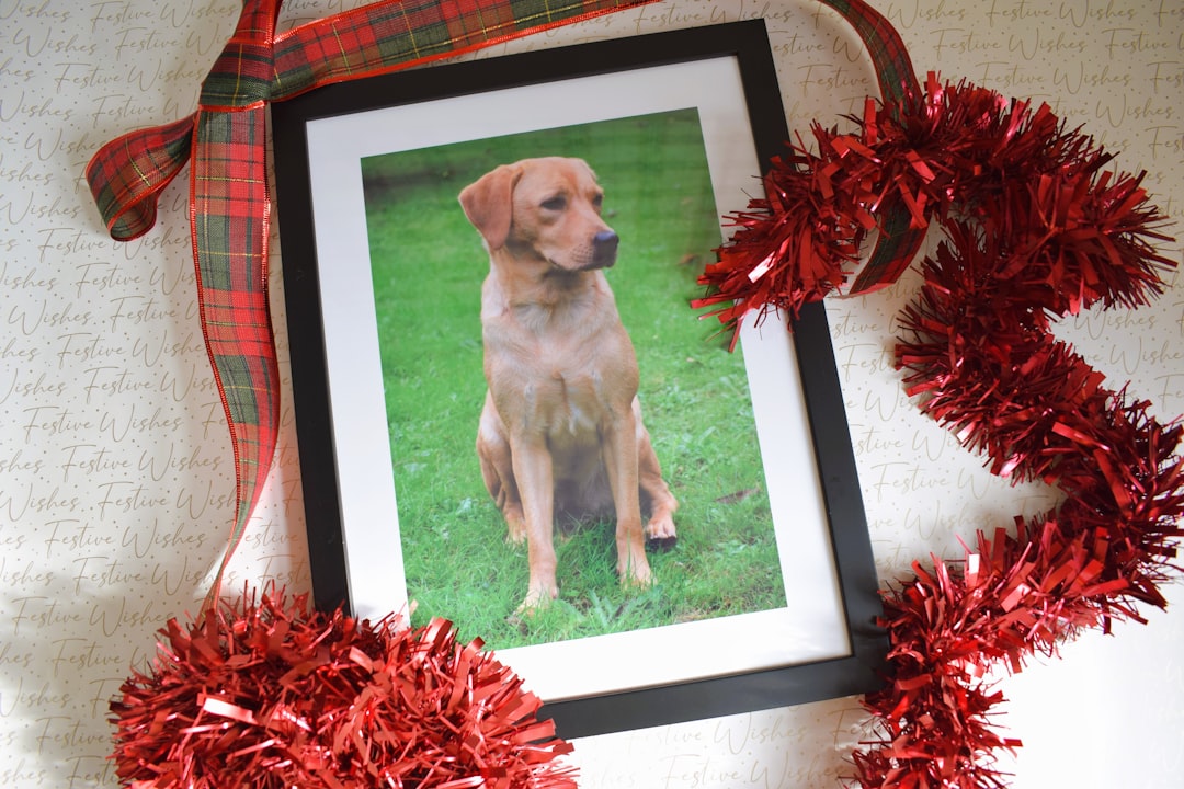 custom pet gift - Framed dog picture with red plaid ribbon and tinsel decorations